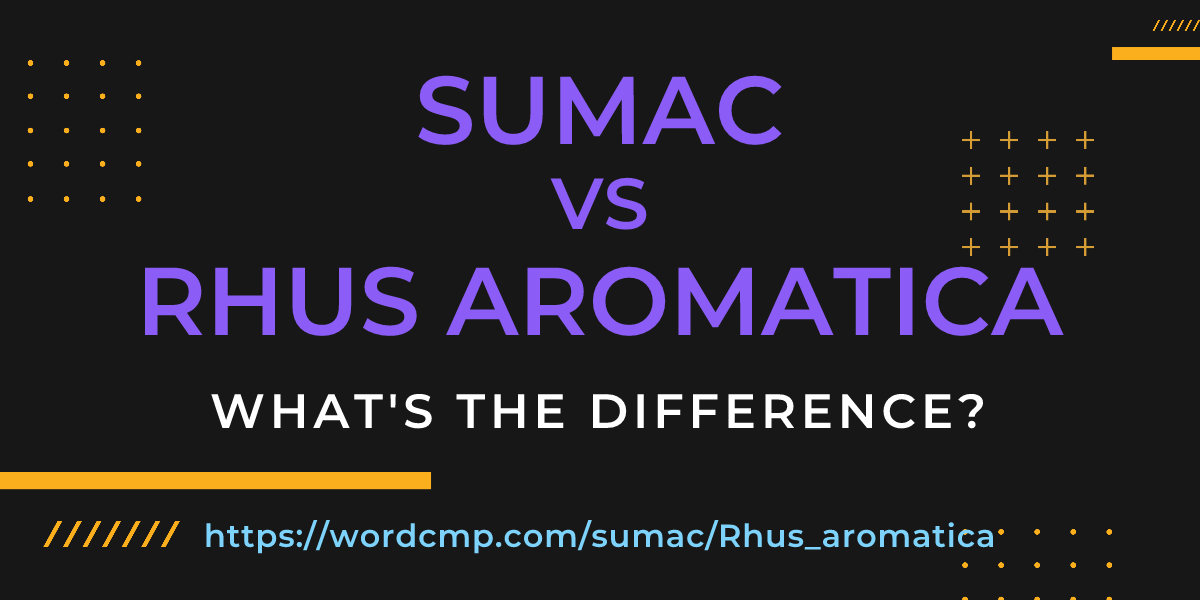 Difference between sumac and Rhus aromatica