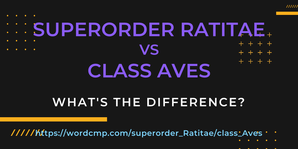 Difference between superorder Ratitae and class Aves