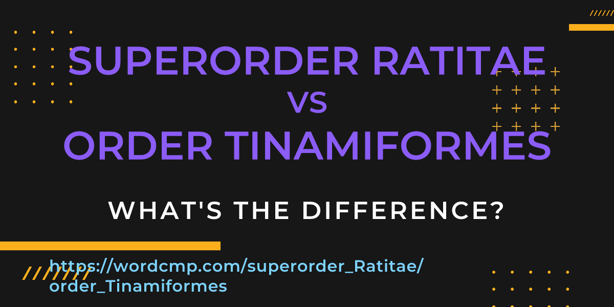 Difference between superorder Ratitae and order Tinamiformes