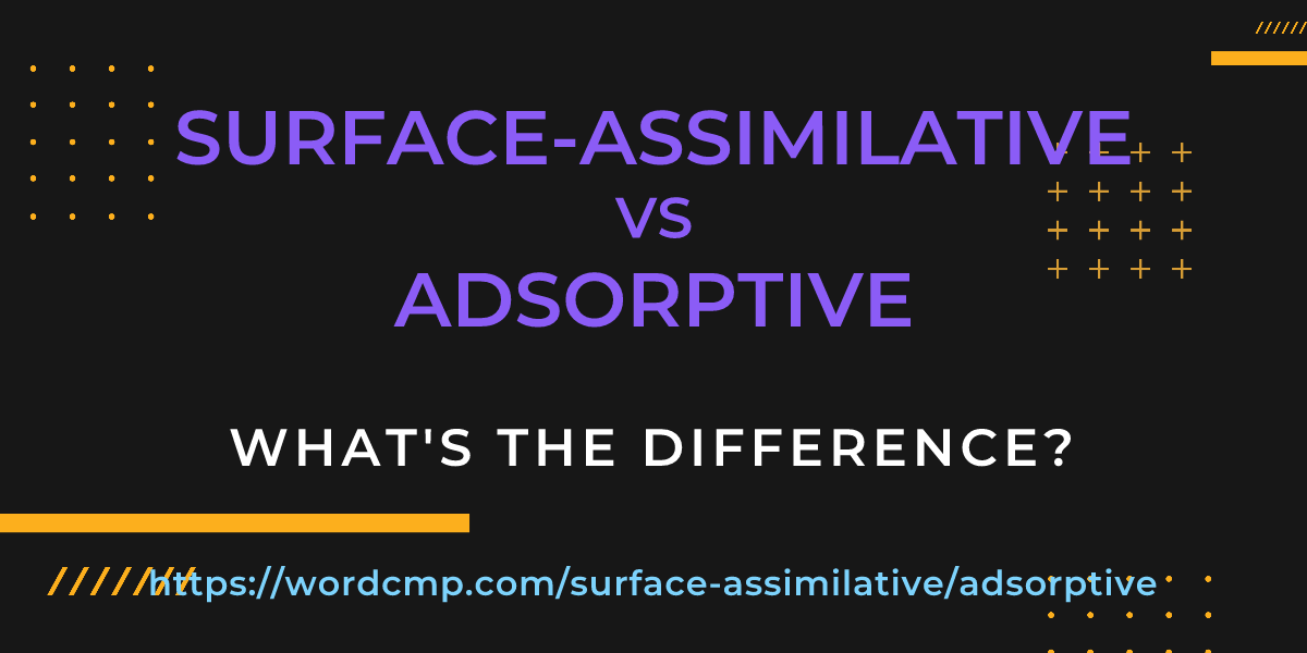 Difference between surface-assimilative and adsorptive