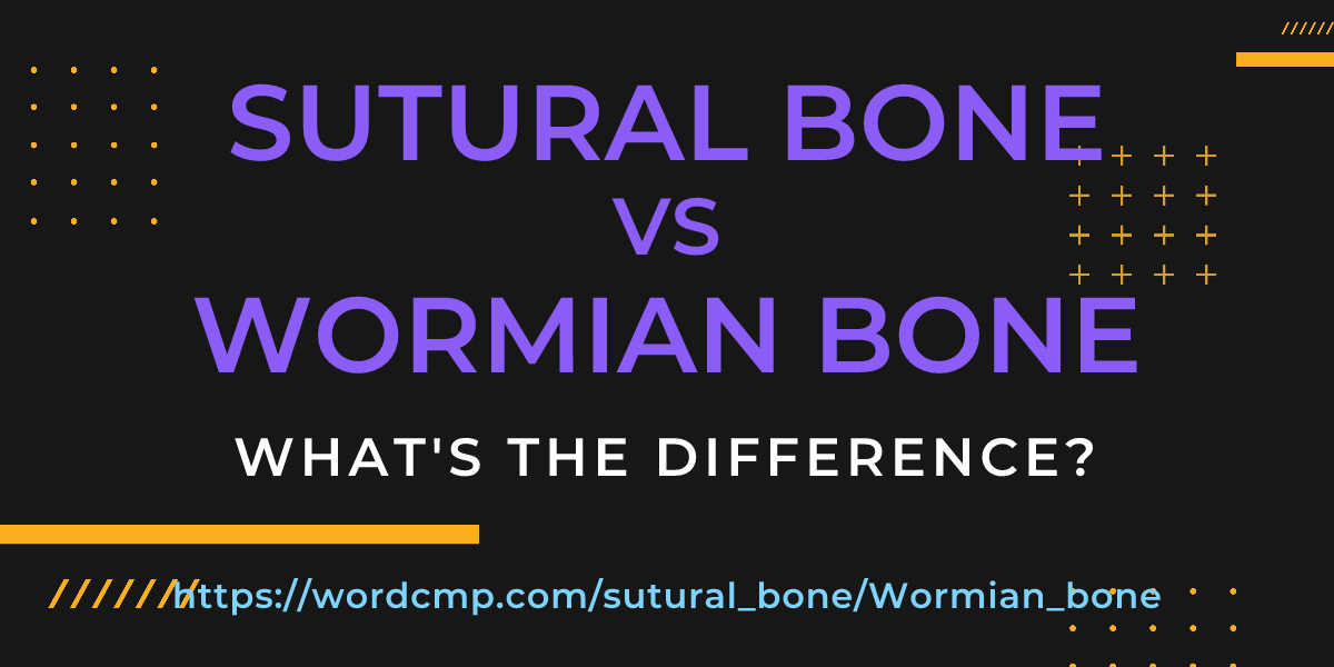 Difference between sutural bone and Wormian bone
