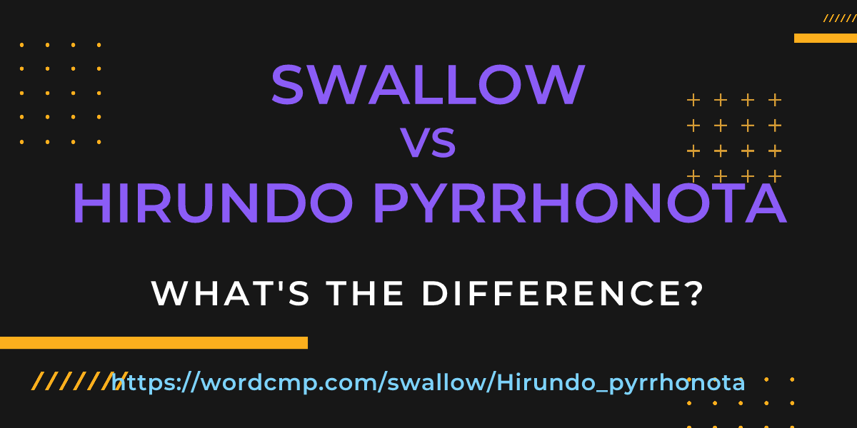 Difference between swallow and Hirundo pyrrhonota