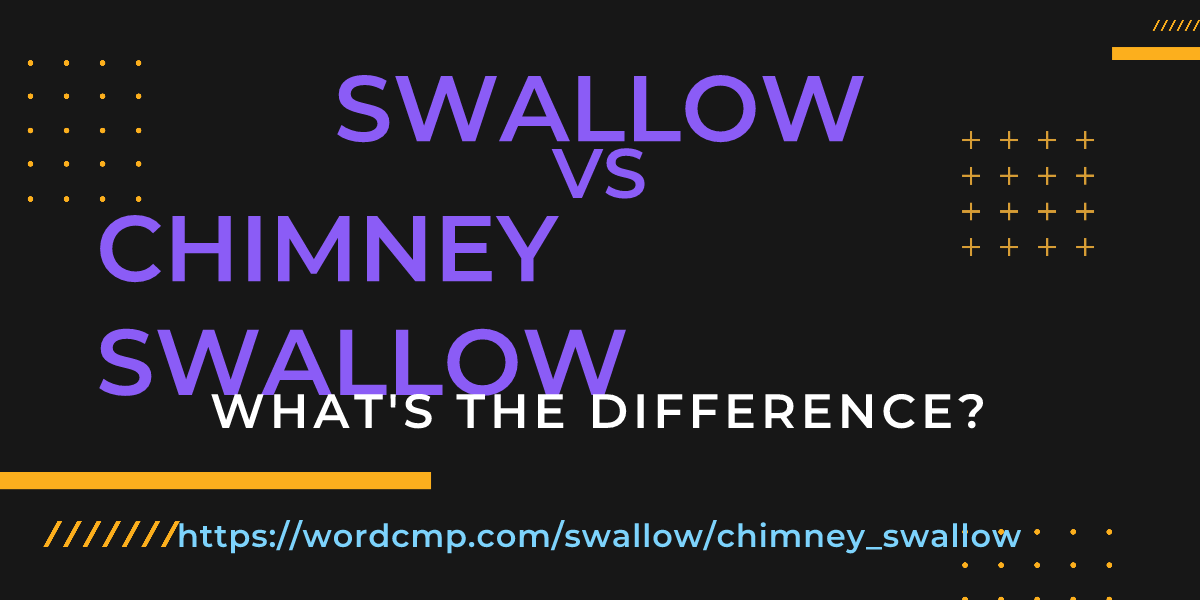 Difference between swallow and chimney swallow