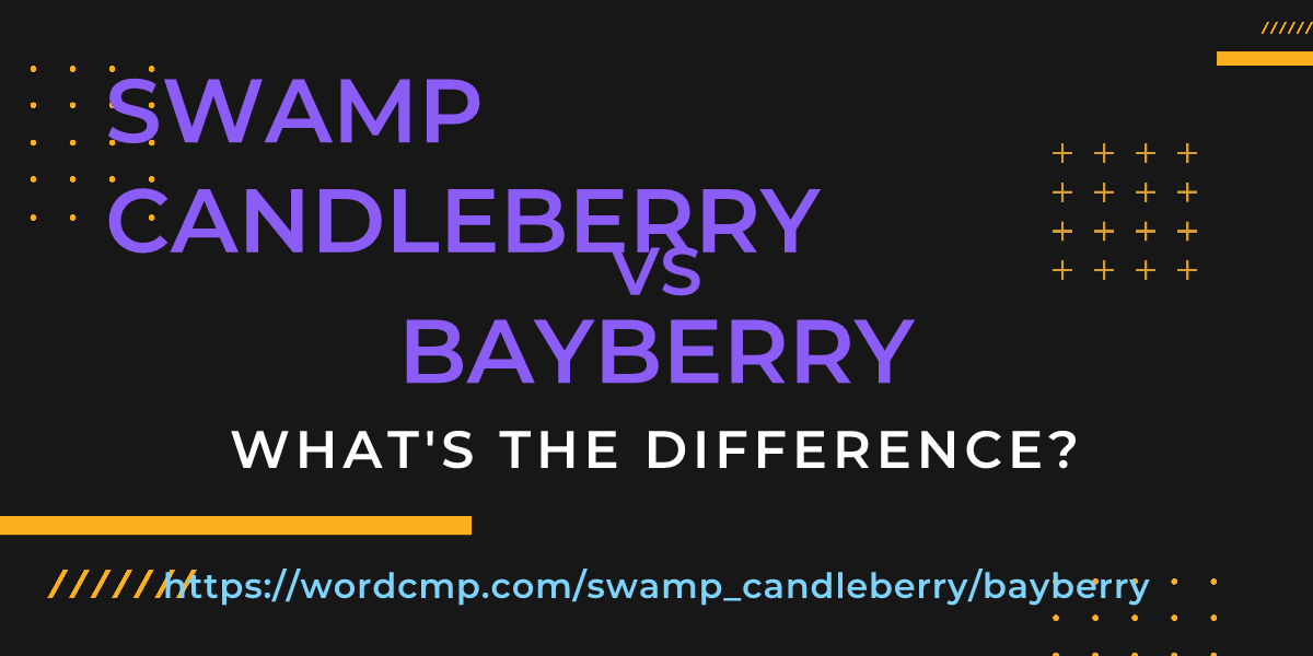 Difference between swamp candleberry and bayberry