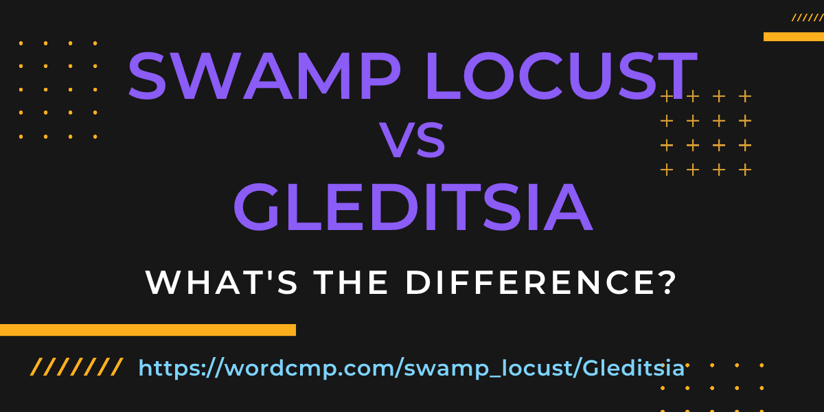 Difference between swamp locust and Gleditsia