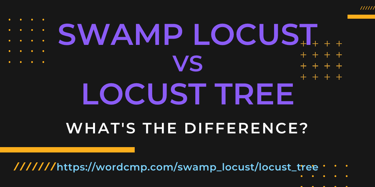 Difference between swamp locust and locust tree