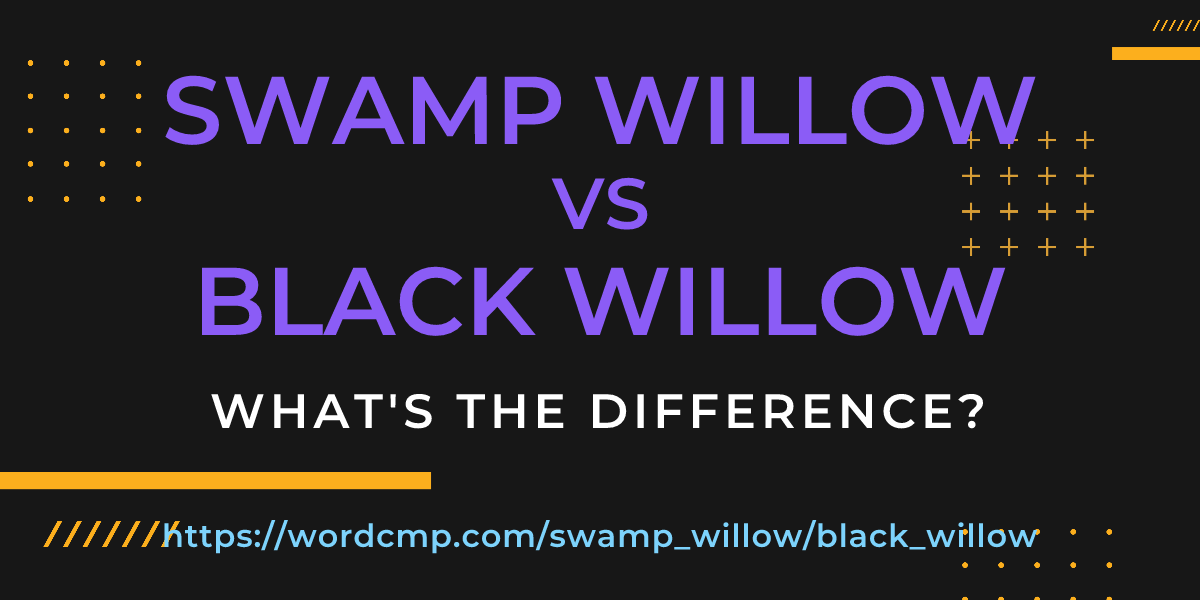 Difference between swamp willow and black willow