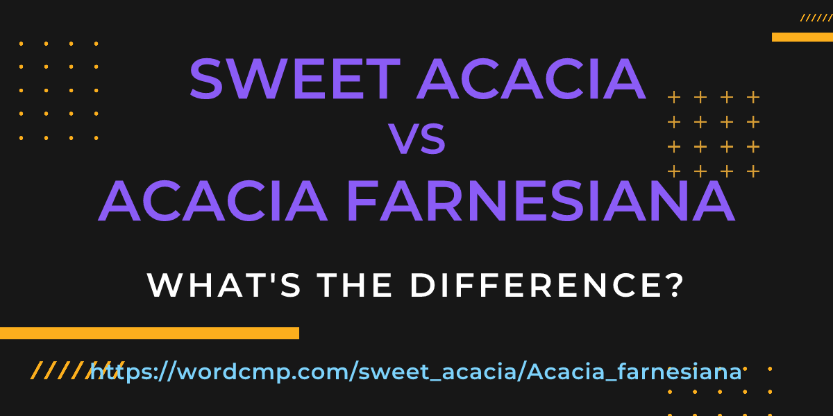 Difference between sweet acacia and Acacia farnesiana