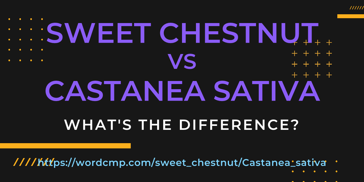 Difference between sweet chestnut and Castanea sativa