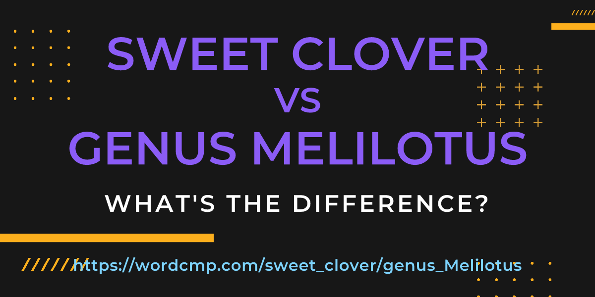 Difference between sweet clover and genus Melilotus