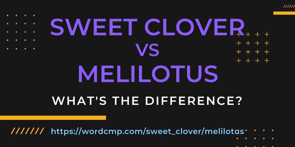 Difference between sweet clover and melilotus