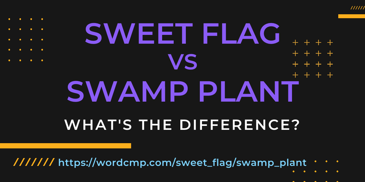 Difference between sweet flag and swamp plant