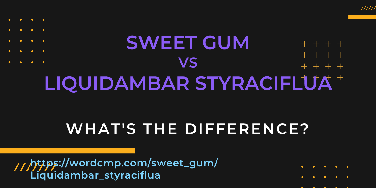 Difference between sweet gum and Liquidambar styraciflua