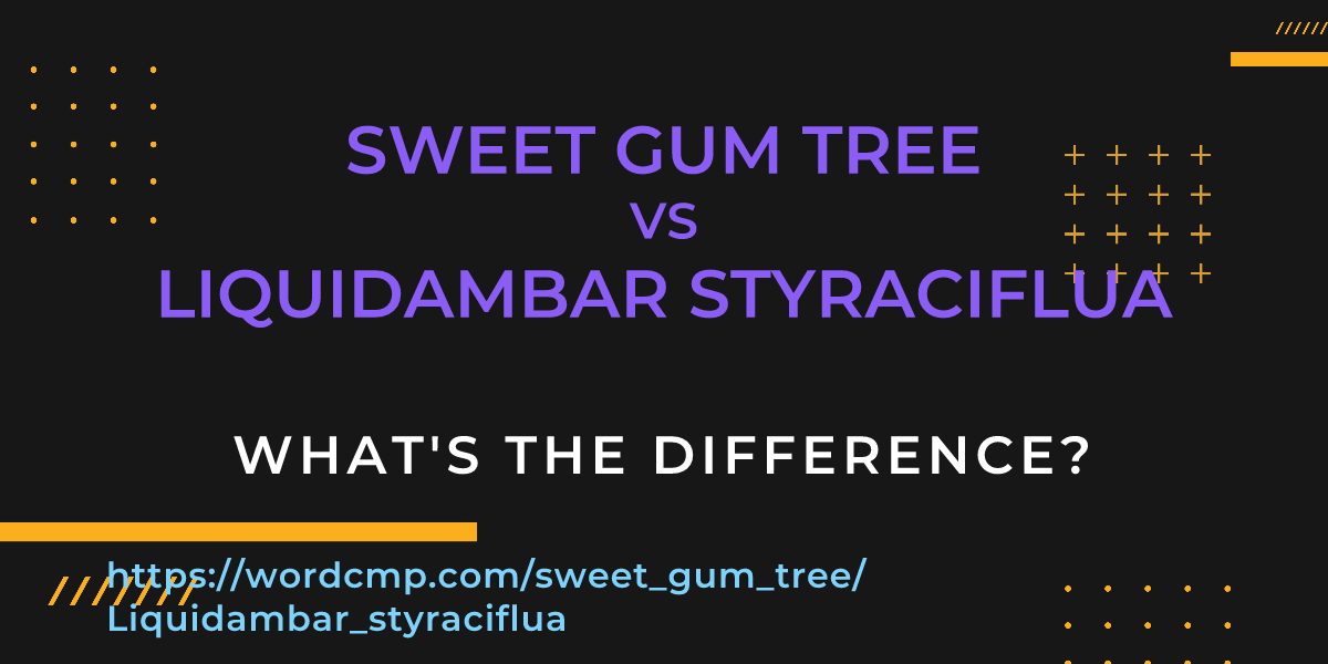 Difference between sweet gum tree and Liquidambar styraciflua