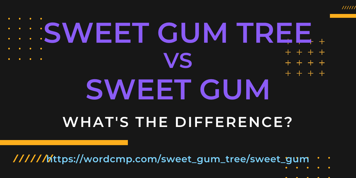 Difference between sweet gum tree and sweet gum