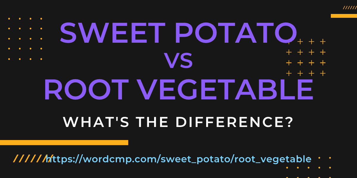 Difference between sweet potato and root vegetable