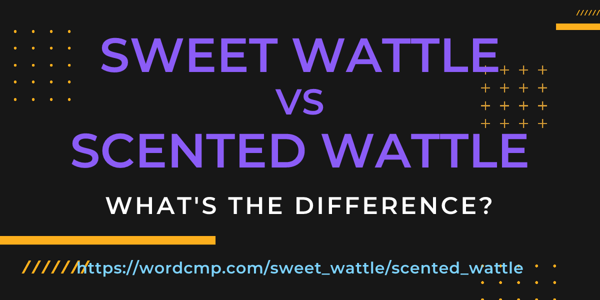 Difference between sweet wattle and scented wattle