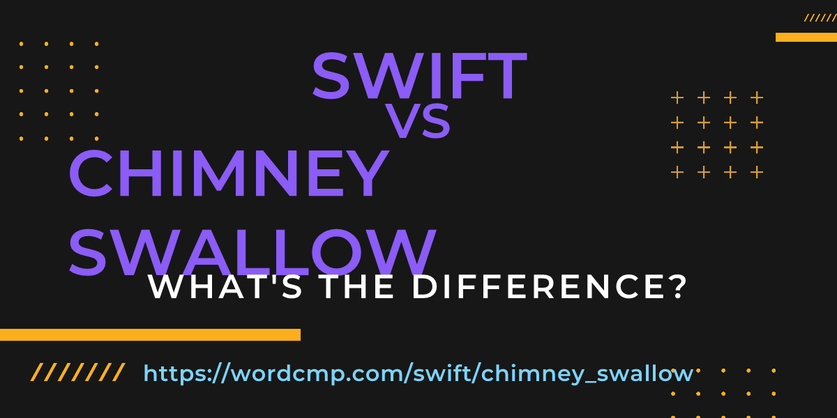 Difference between swift and chimney swallow