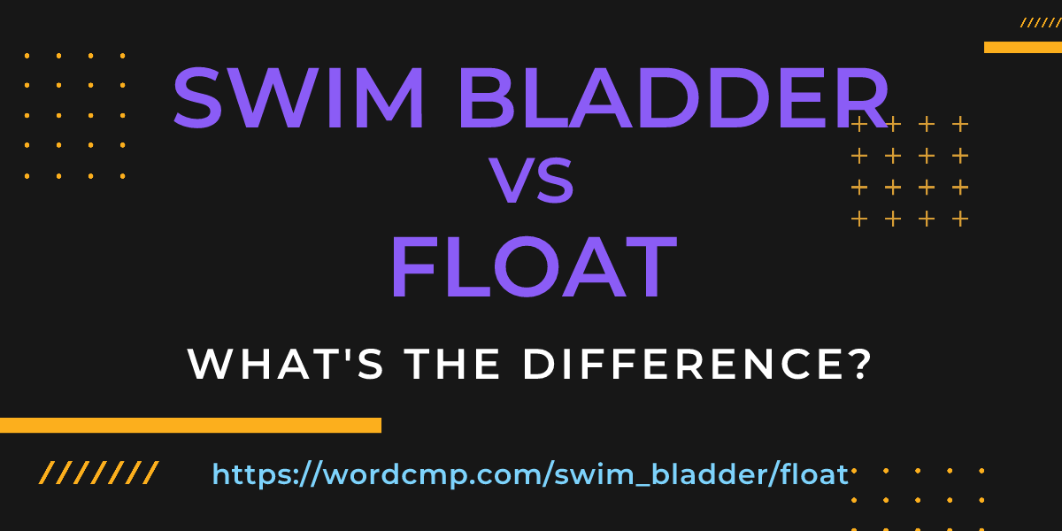 Difference between swim bladder and float