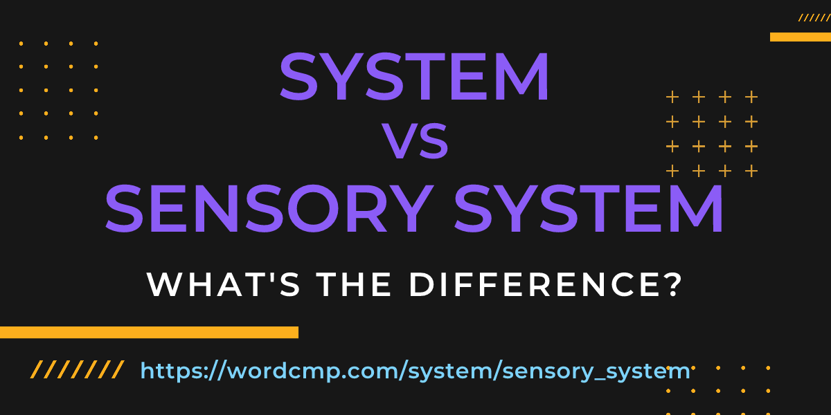 Difference between system and sensory system