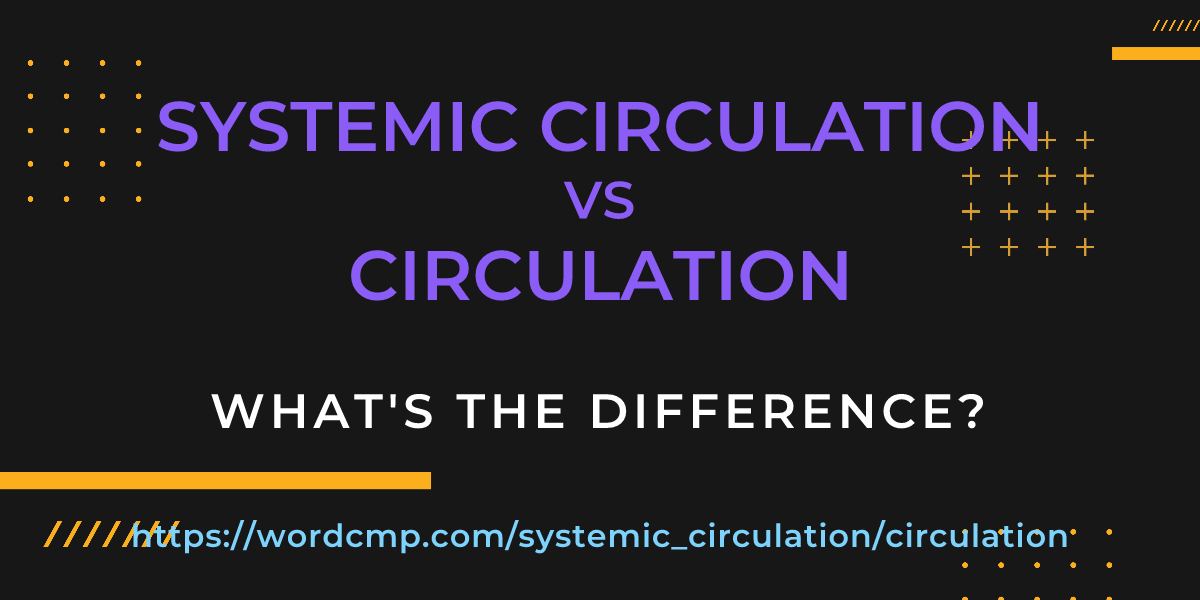 Difference between systemic circulation and circulation