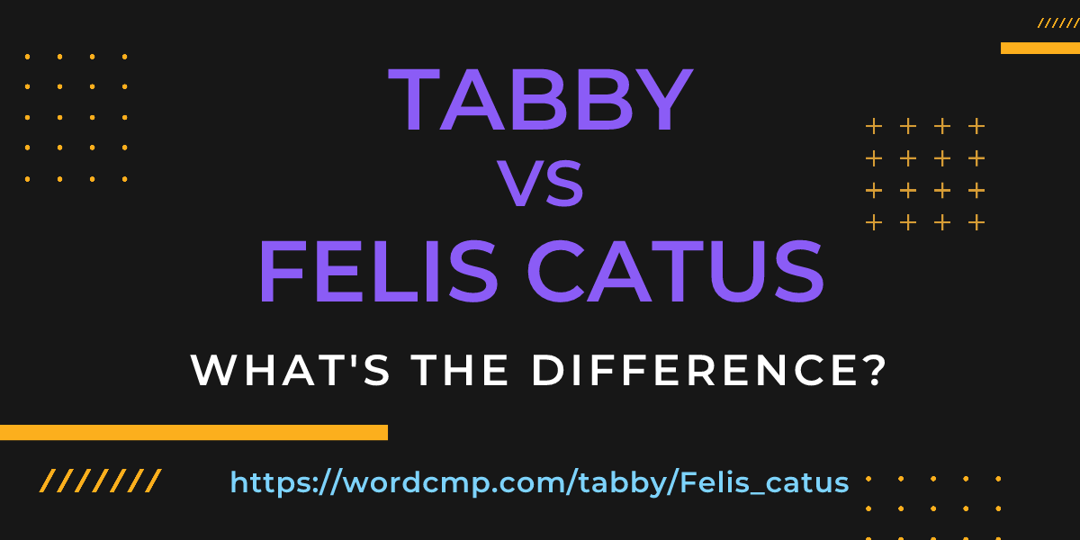 Difference between tabby and Felis catus