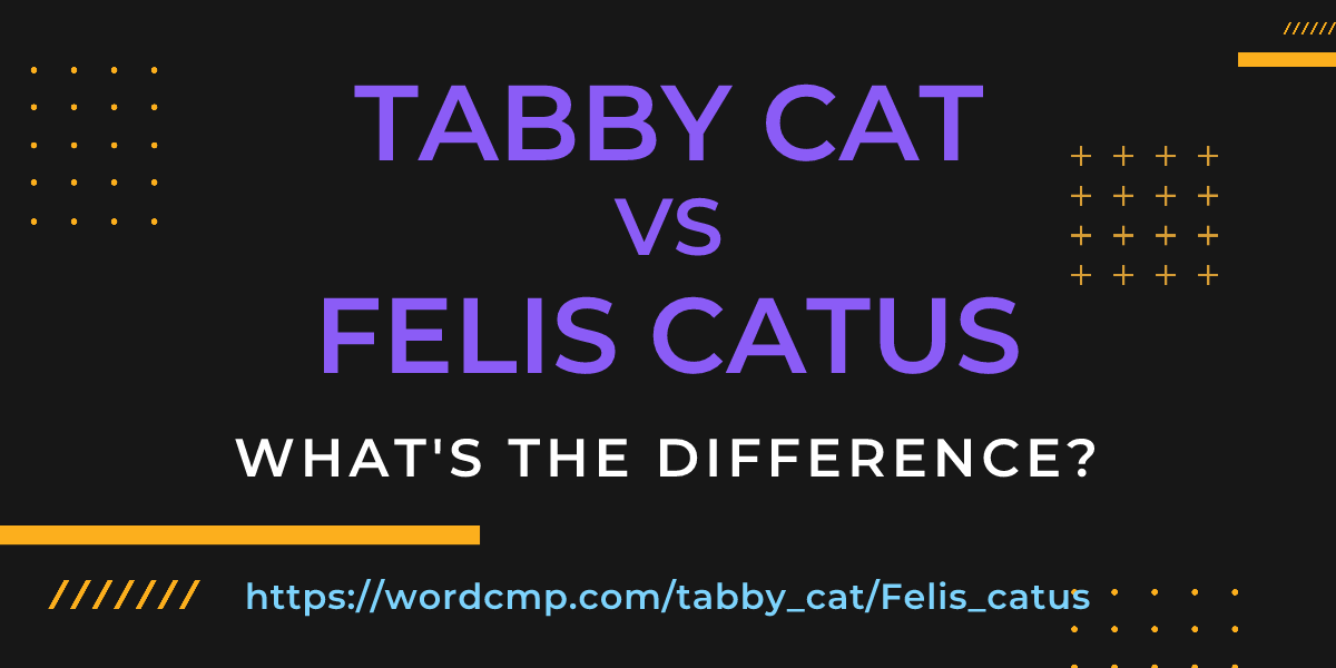 Difference between tabby cat and Felis catus