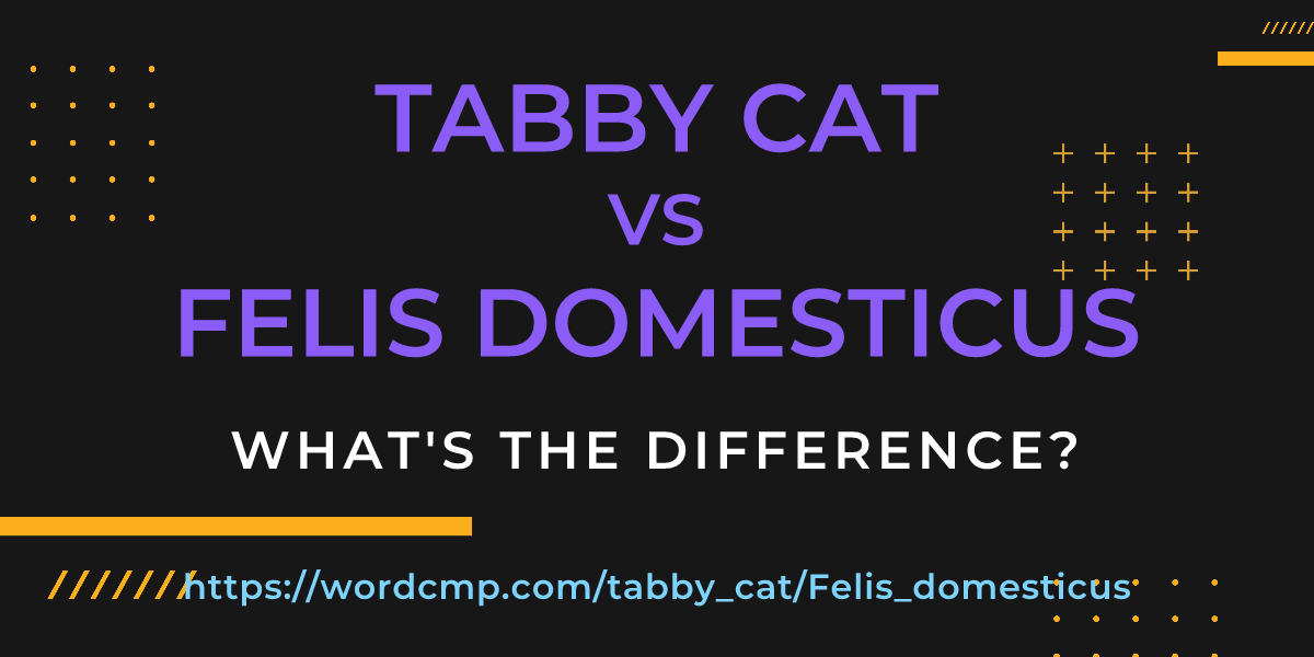 Difference between tabby cat and Felis domesticus
