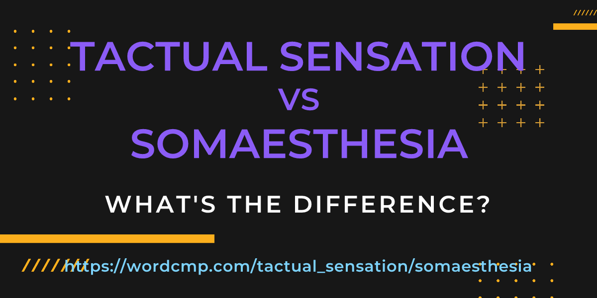 Difference between tactual sensation and somaesthesia
