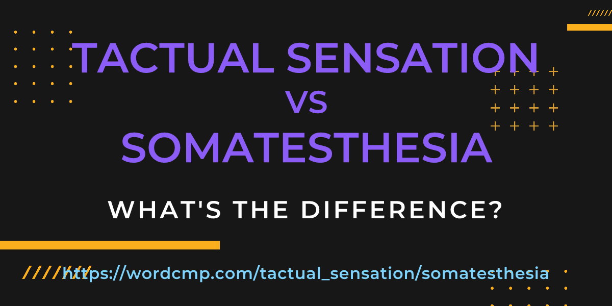 Difference between tactual sensation and somatesthesia