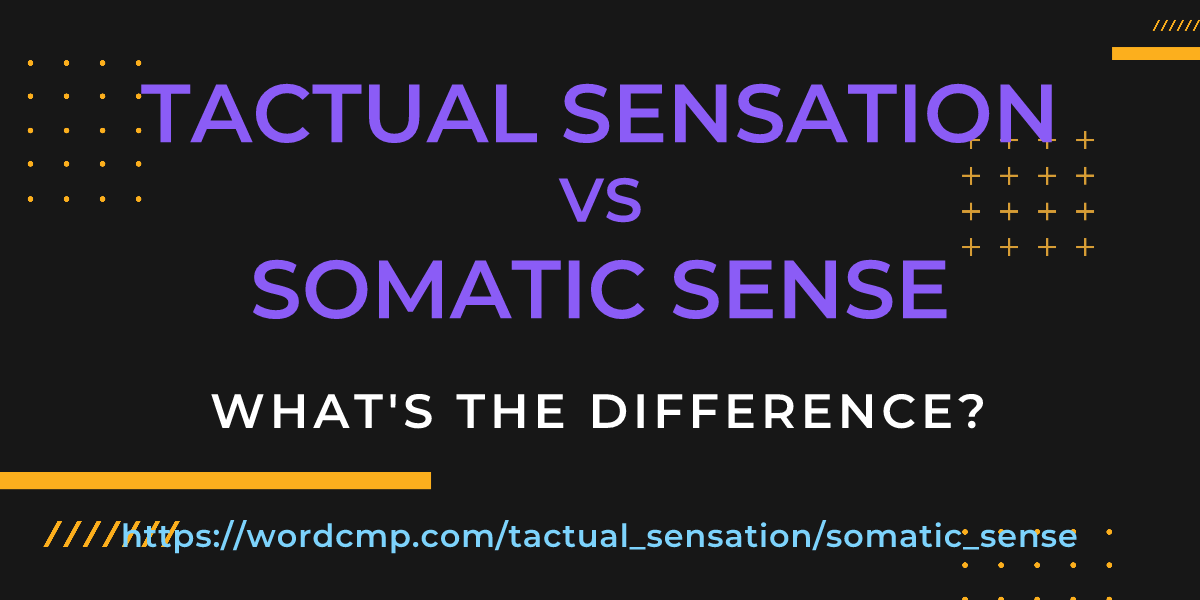 Difference between tactual sensation and somatic sense