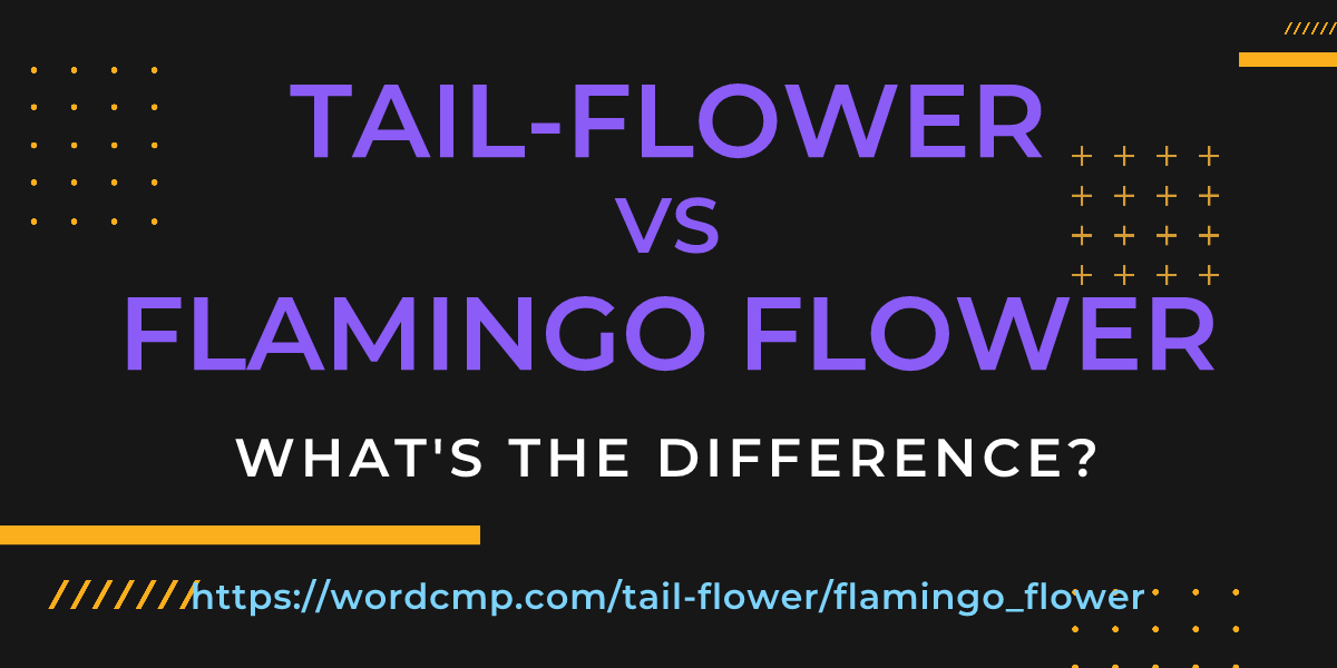 Difference between tail-flower and flamingo flower