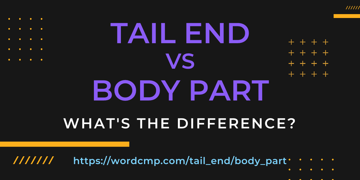 Difference between tail end and body part