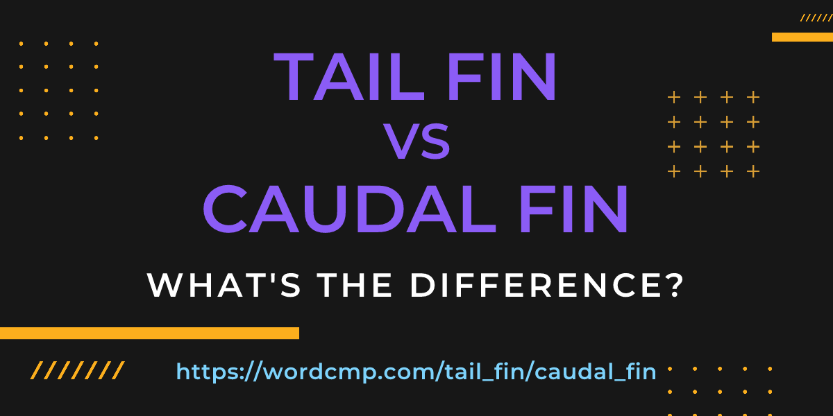 Difference between tail fin and caudal fin