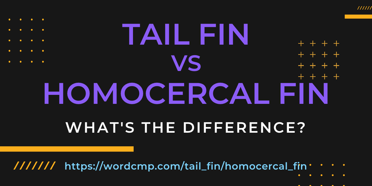 Difference between tail fin and homocercal fin