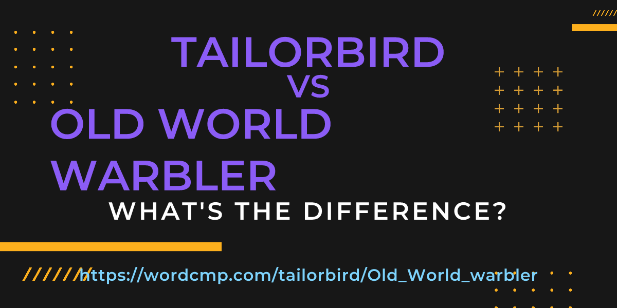 Difference between tailorbird and Old World warbler