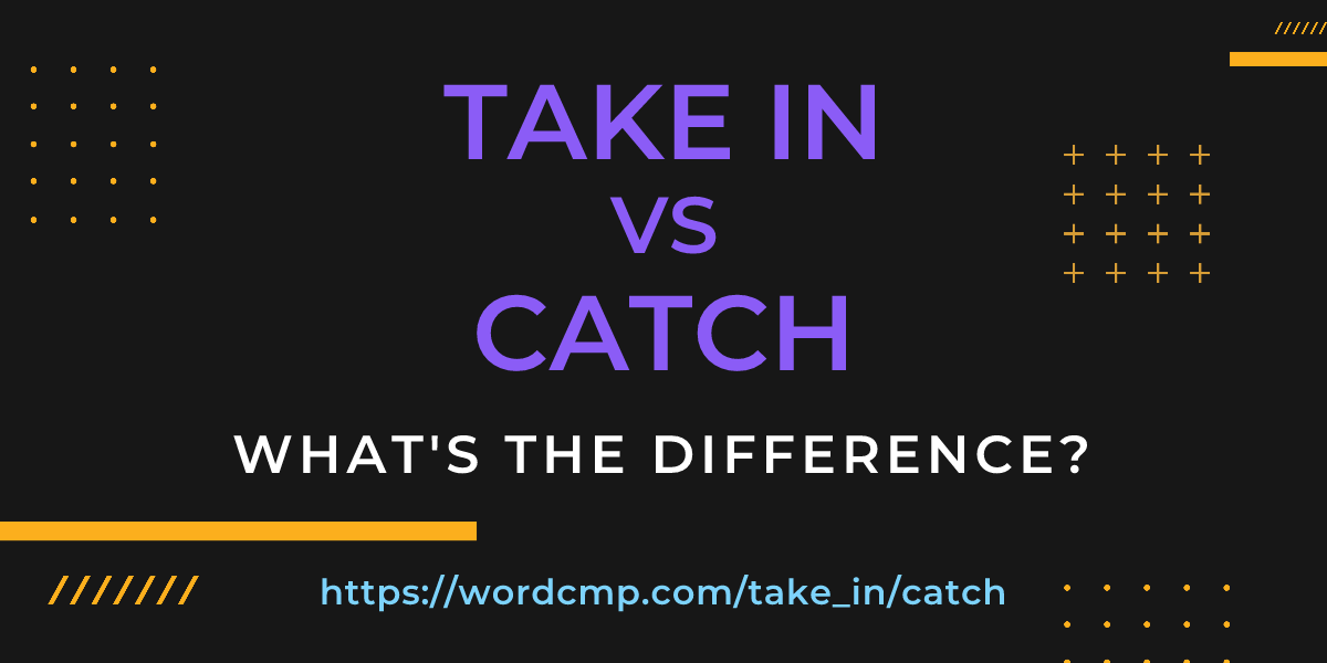 Difference between take in and catch