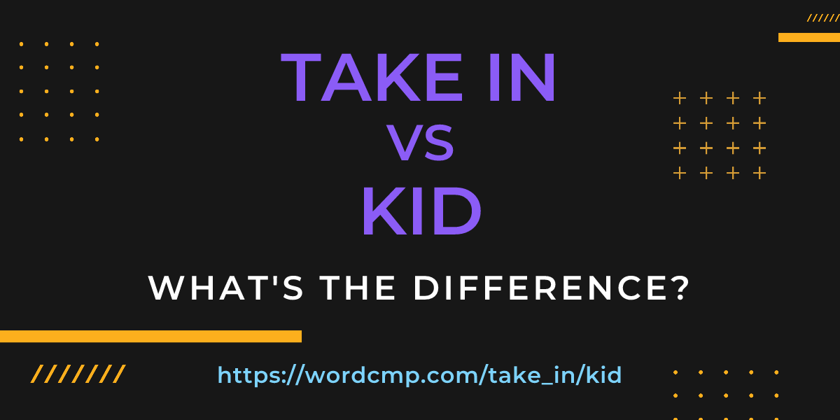 Difference between take in and kid