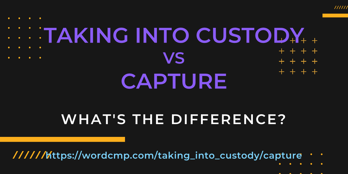 Difference between taking into custody and capture