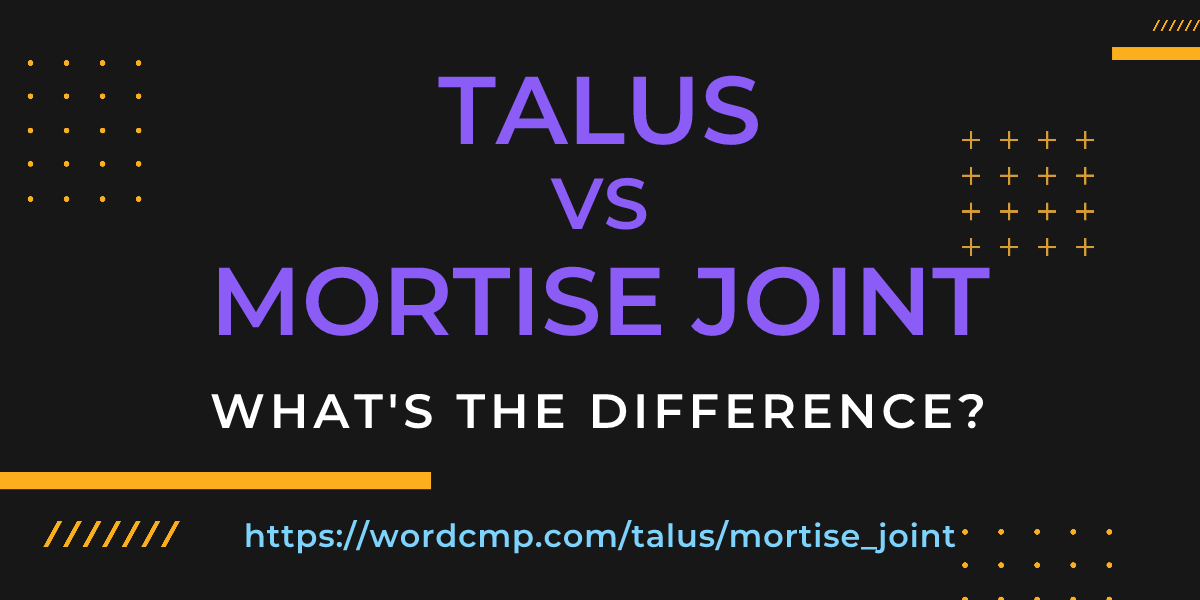 Difference between talus and mortise joint
