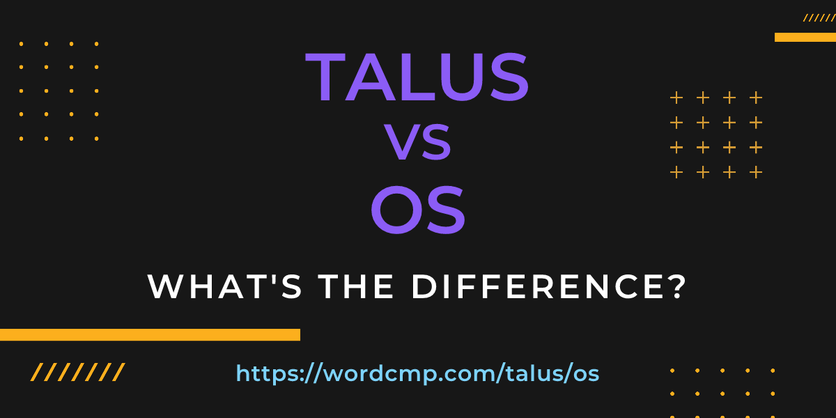 Difference between talus and os