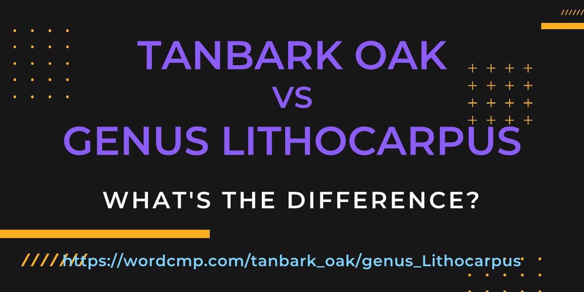 Difference between tanbark oak and genus Lithocarpus