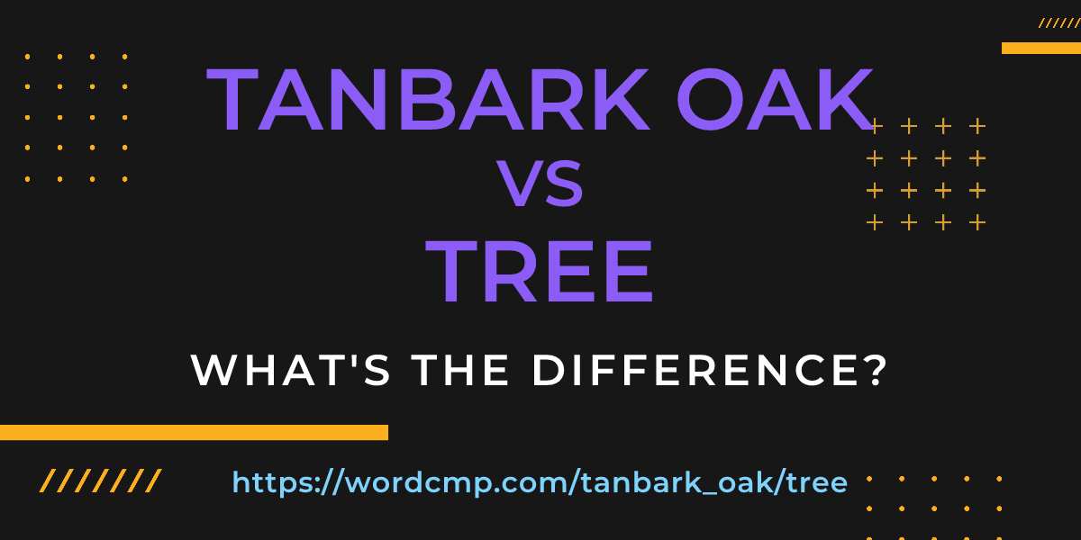 Difference between tanbark oak and tree