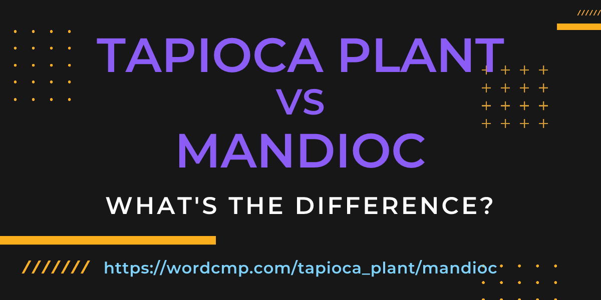 Difference between tapioca plant and mandioc