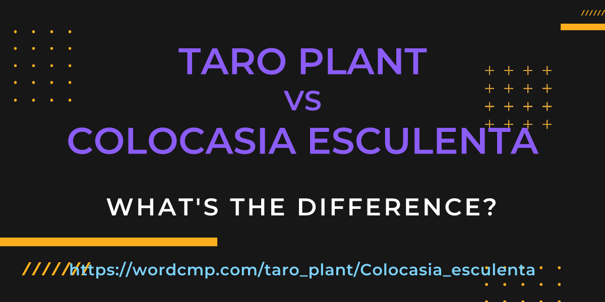 Difference between taro plant and Colocasia esculenta