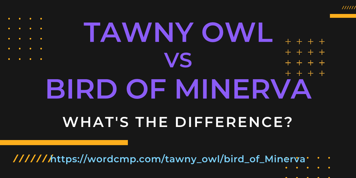Difference between tawny owl and bird of Minerva