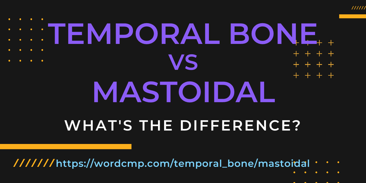 Difference between temporal bone and mastoidal