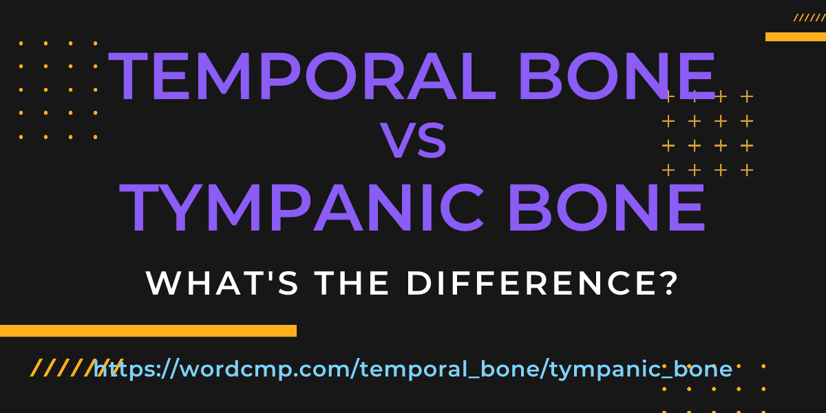 Difference between temporal bone and tympanic bone
