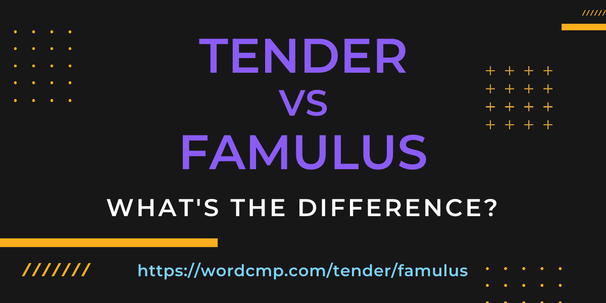 Difference between tender and famulus