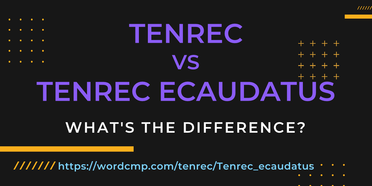 Difference between tenrec and Tenrec ecaudatus